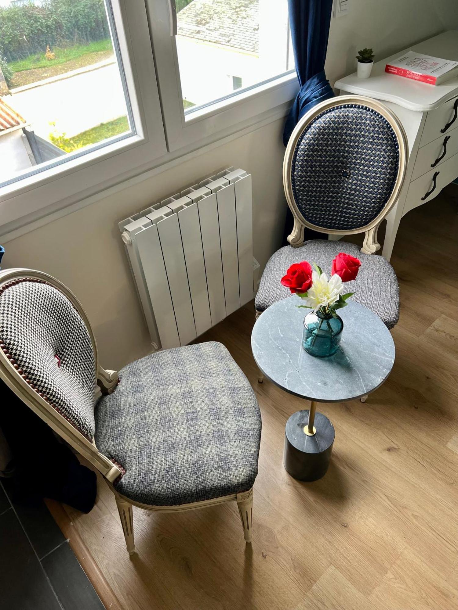 Studios Ideal Pro I Centre-Ville & Parking Gratuit Châtellerault Екстериор снимка