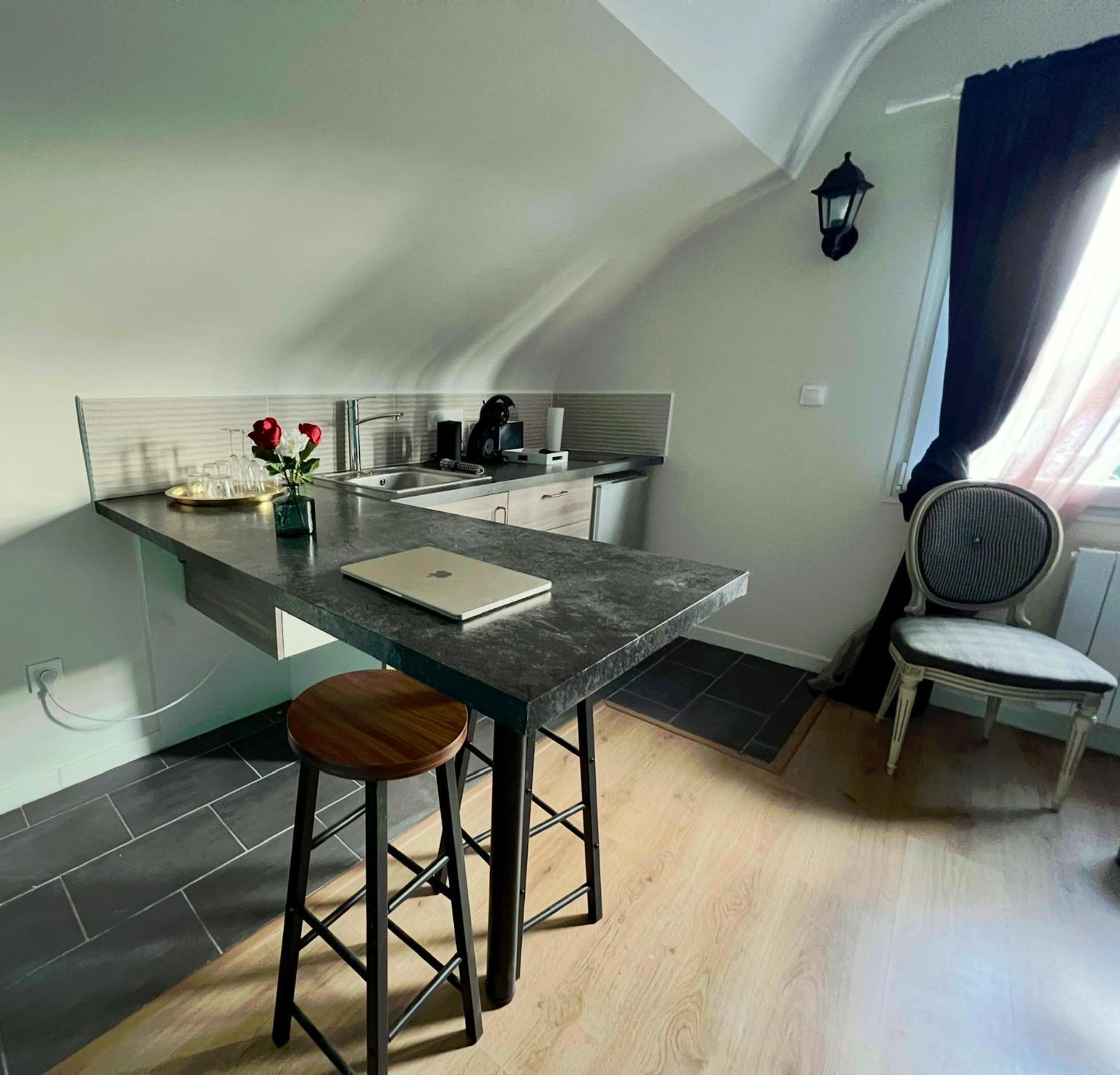 Studios Ideal Pro I Centre-Ville & Parking Gratuit Châtellerault Екстериор снимка