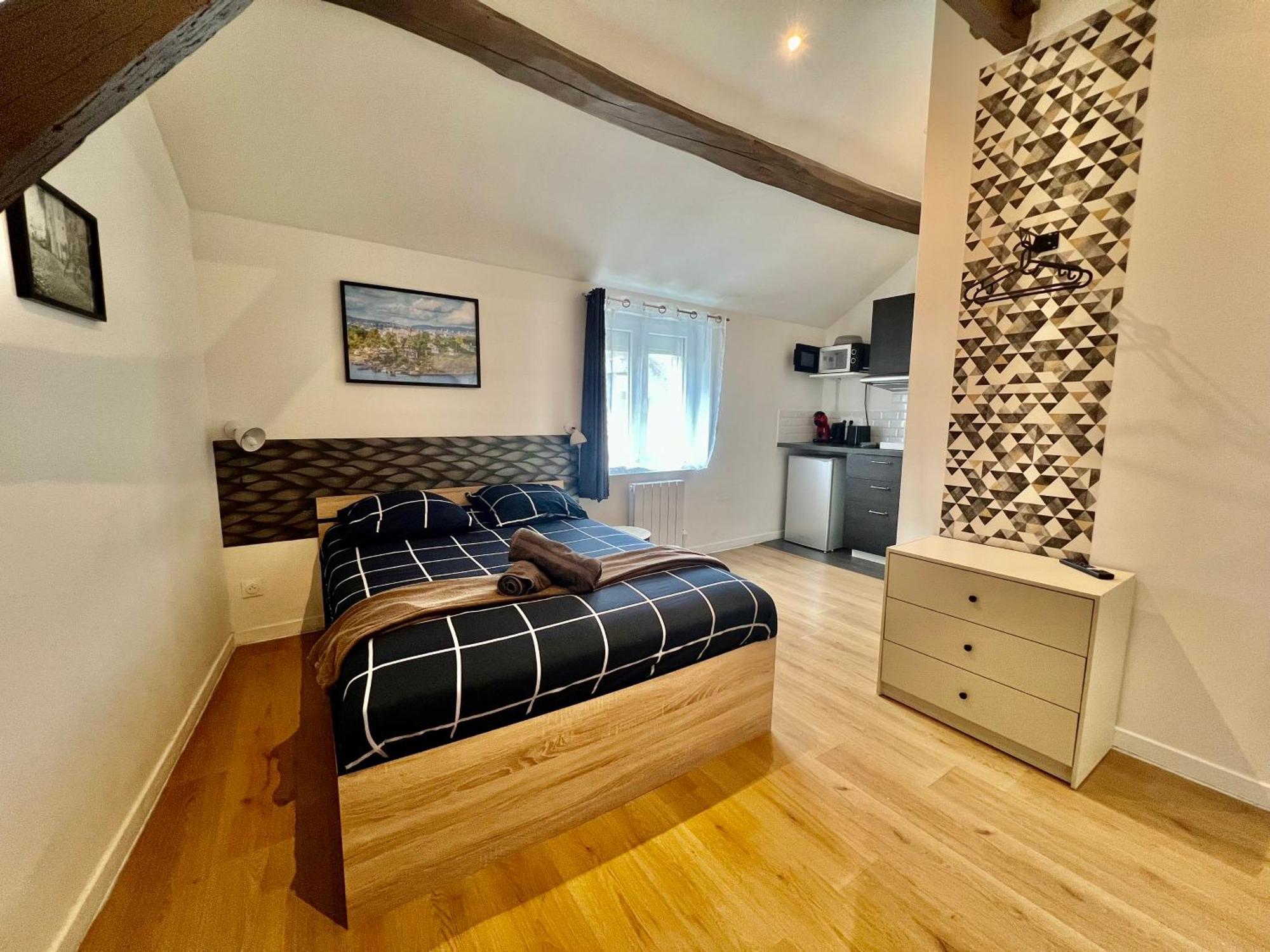 Studios Ideal Pro I Centre-Ville & Parking Gratuit Châtellerault Екстериор снимка