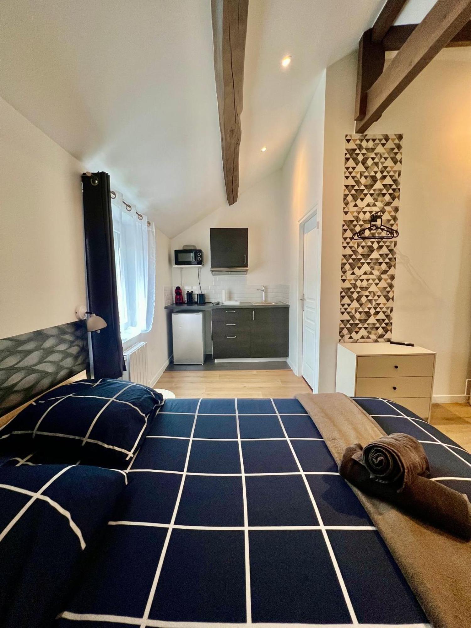 Studios Ideal Pro I Centre-Ville & Parking Gratuit Châtellerault Екстериор снимка
