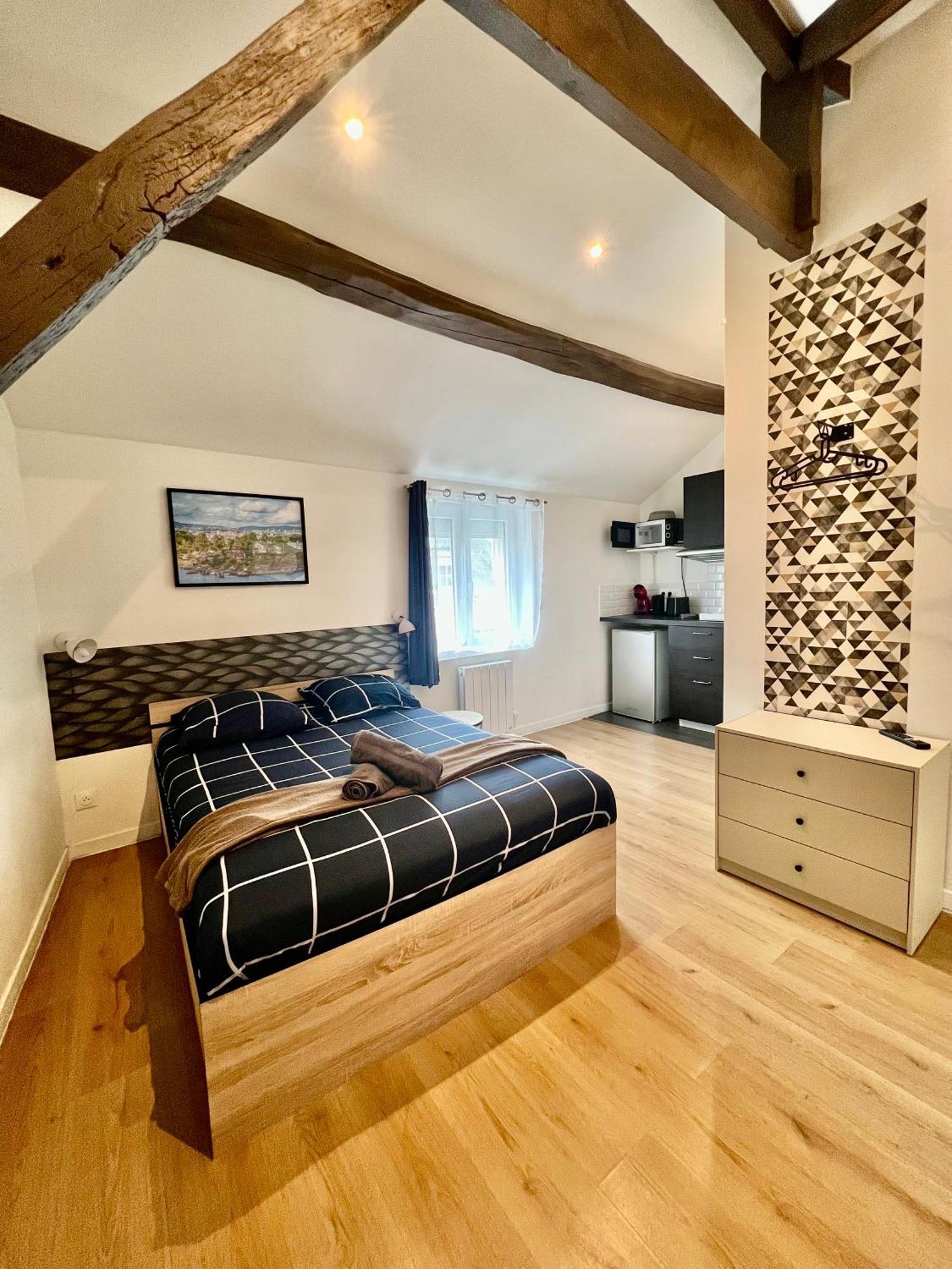 Studios Ideal Pro I Centre-Ville & Parking Gratuit Châtellerault Екстериор снимка